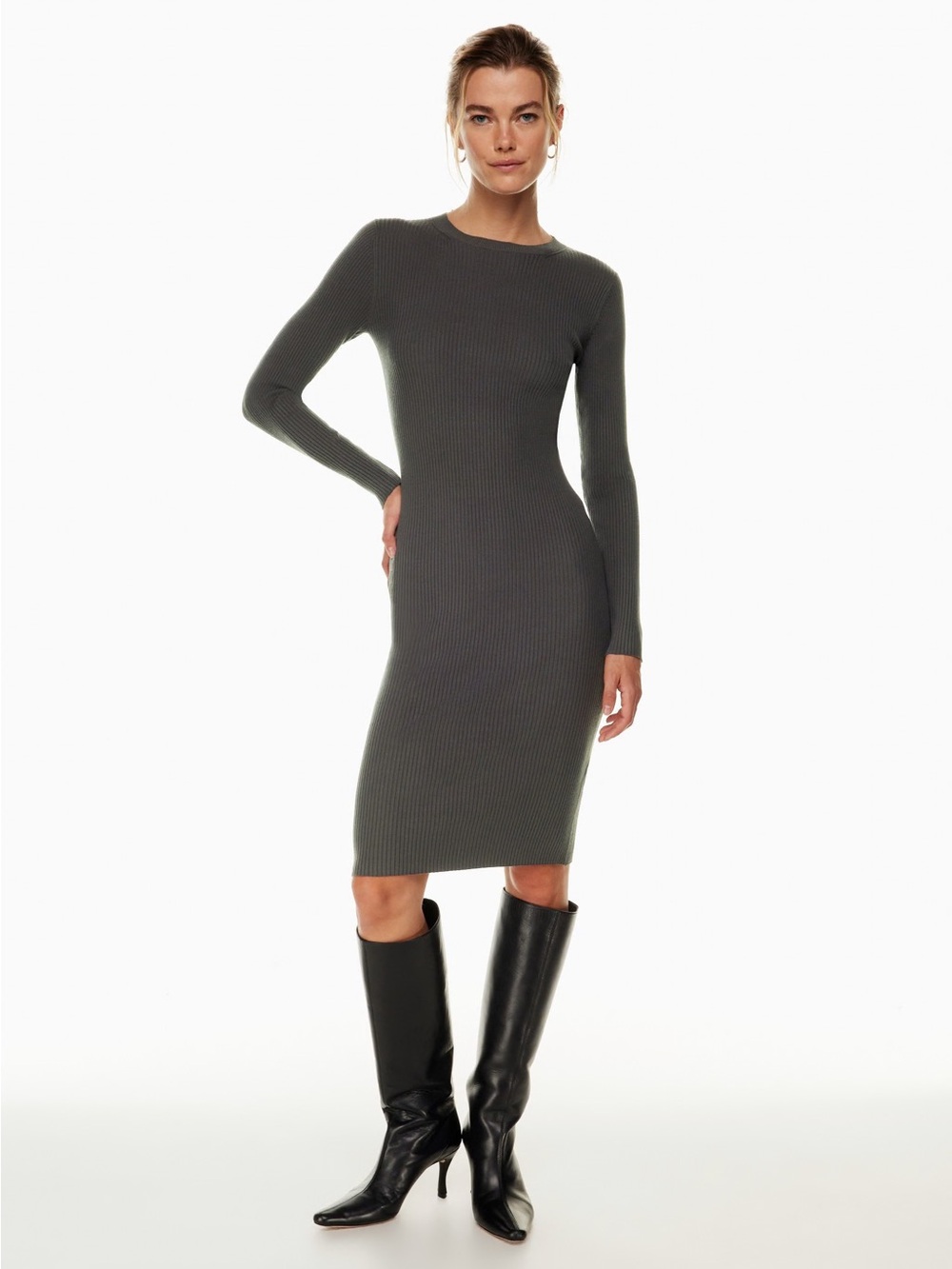 Aritzia Wilfred Townfolk Dress